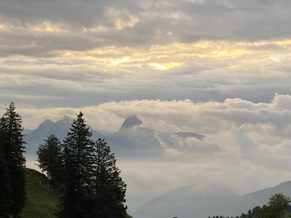 Rigi-Burggeist Alpine Guesthouse Gersau Exteriör bild