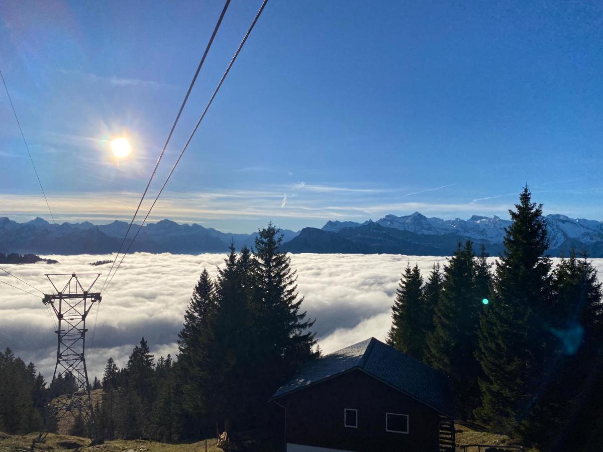 Rigi-Burggeist Alpine Guesthouse Gersau Exteriör bild