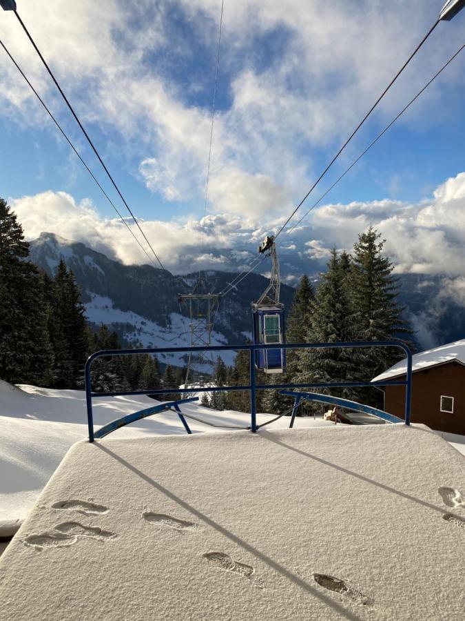 Rigi-Burggeist Alpine Guesthouse Gersau Exteriör bild