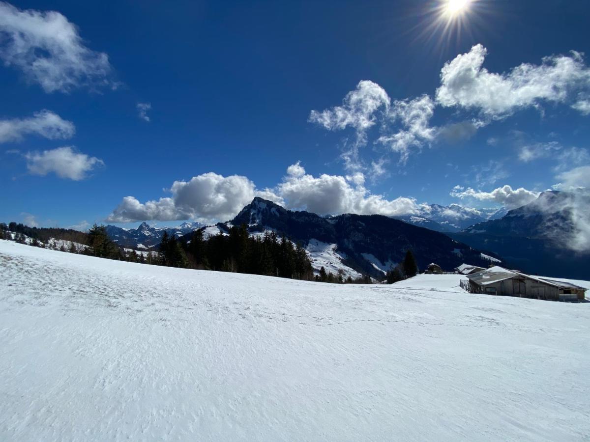 Rigi-Burggeist Alpine Guesthouse Gersau Exteriör bild