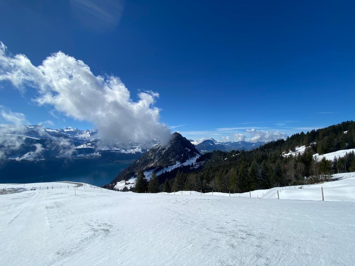 Rigi-Burggeist Alpine Guesthouse Gersau Exteriör bild
