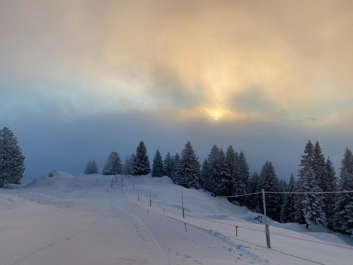 Rigi-Burggeist Alpine Guesthouse Gersau Exteriör bild