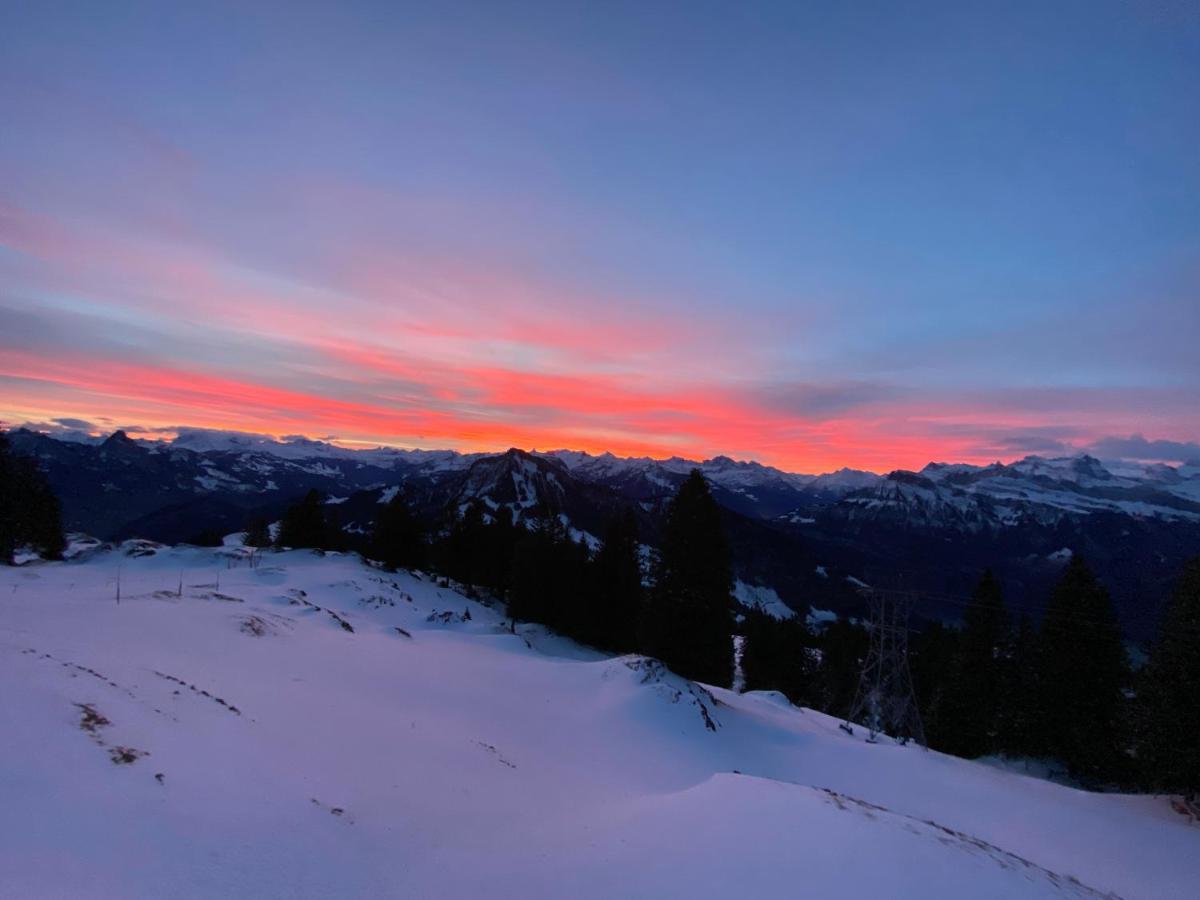 Rigi-Burggeist Alpine Guesthouse Gersau Exteriör bild