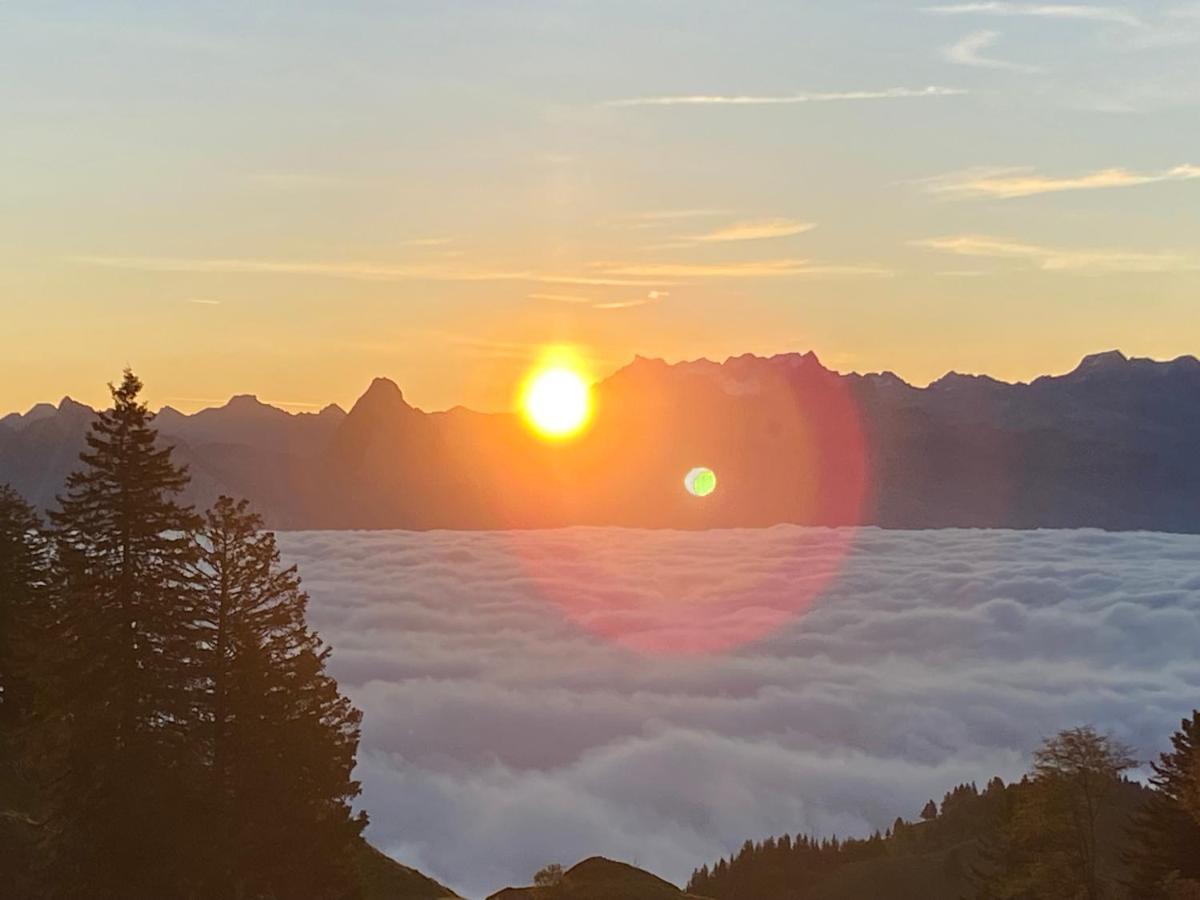 Rigi-Burggeist Alpine Guesthouse Gersau Exteriör bild