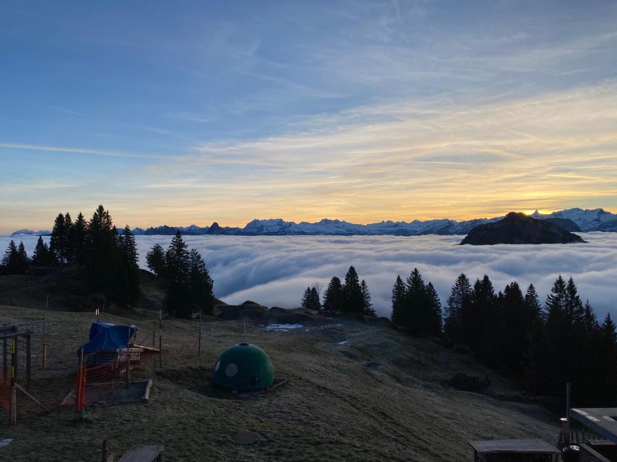 Rigi-Burggeist Alpine Guesthouse Gersau Exteriör bild