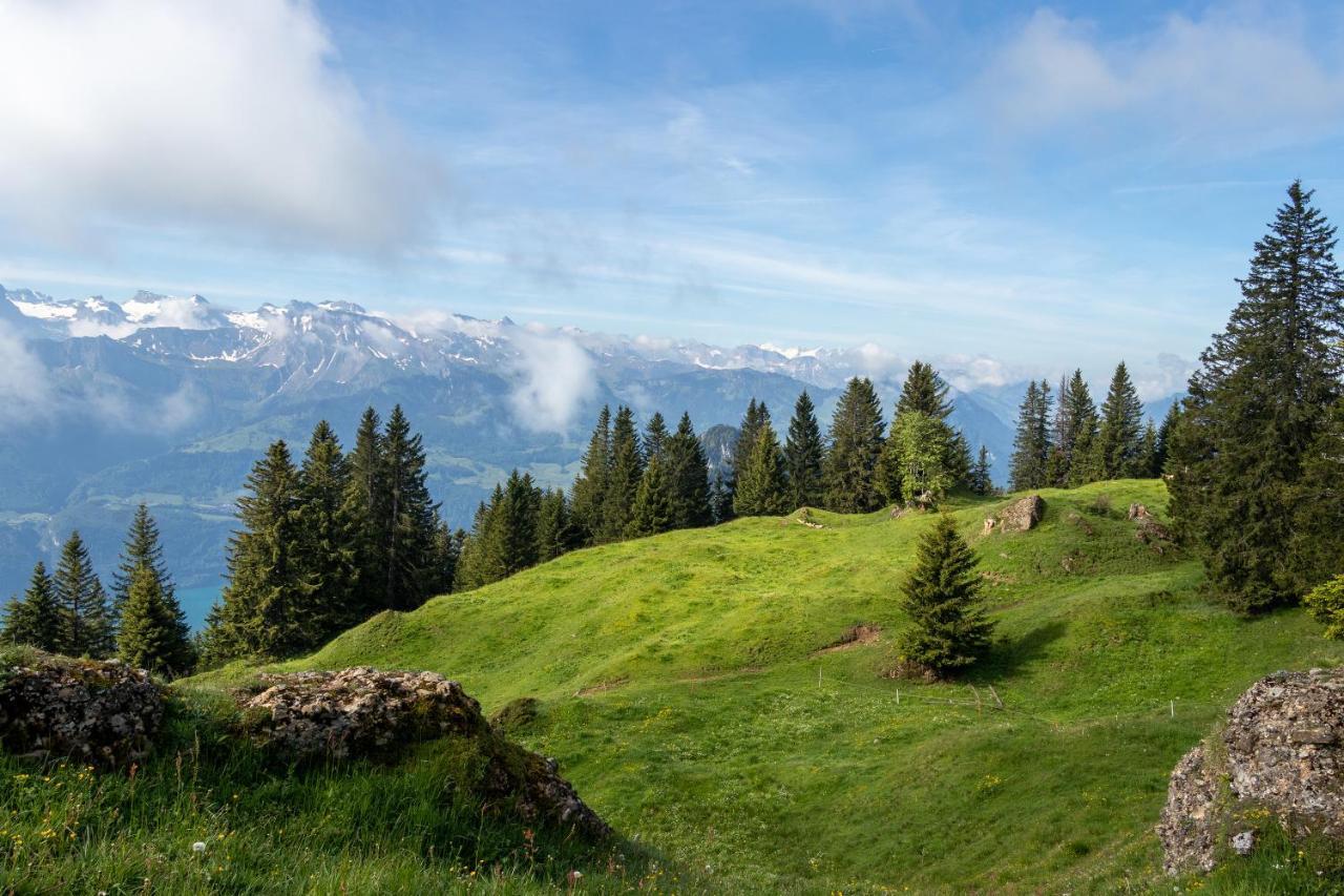 Rigi-Burggeist Alpine Guesthouse Gersau Exteriör bild