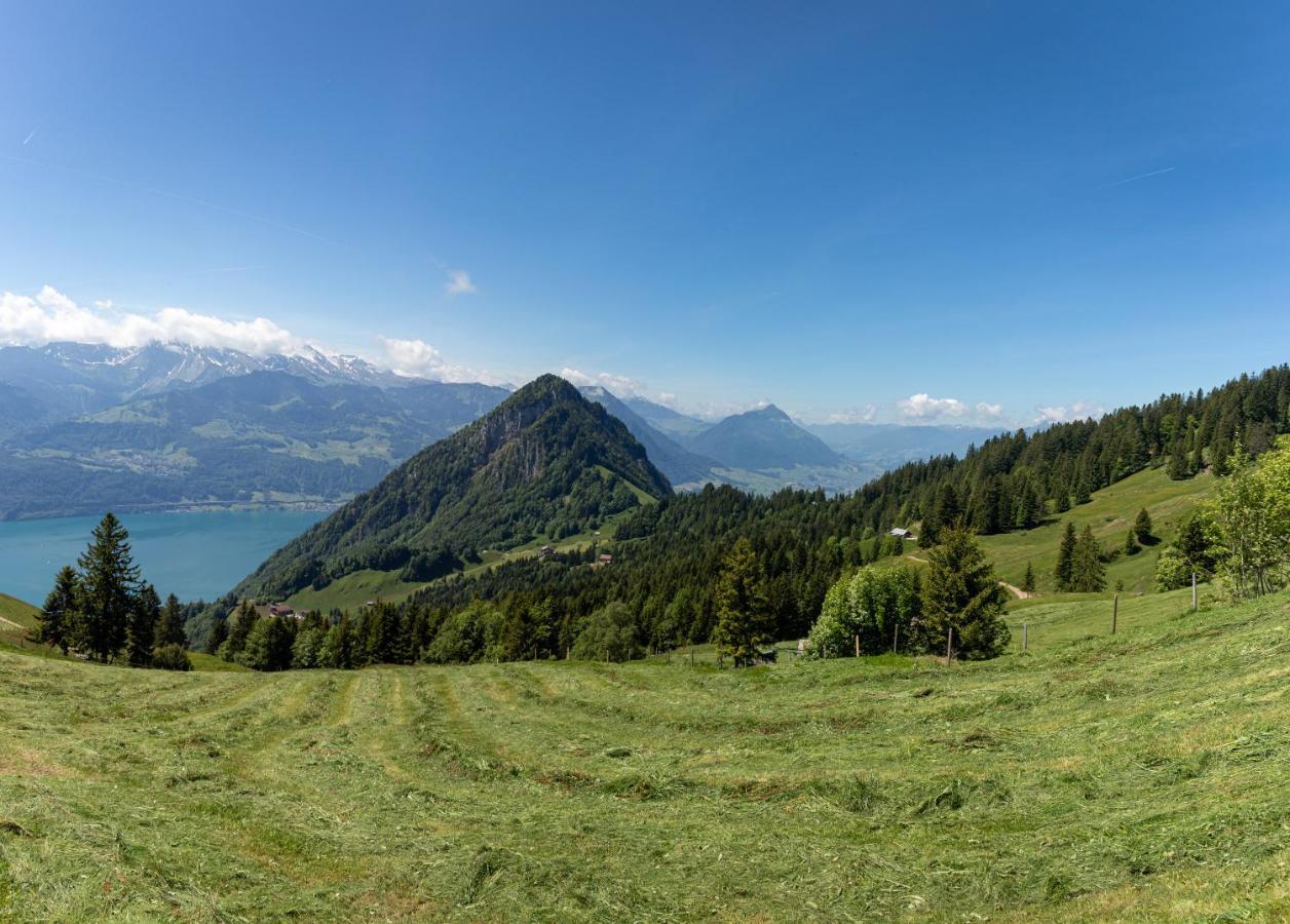 Rigi-Burggeist Alpine Guesthouse Gersau Exteriör bild