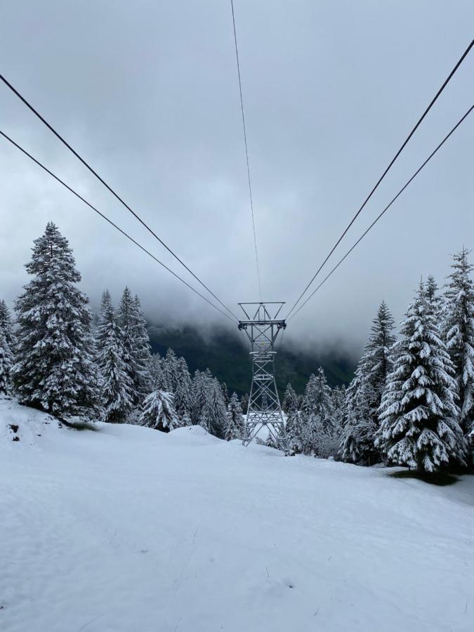 Rigi-Burggeist Alpine Guesthouse Gersau Exteriör bild