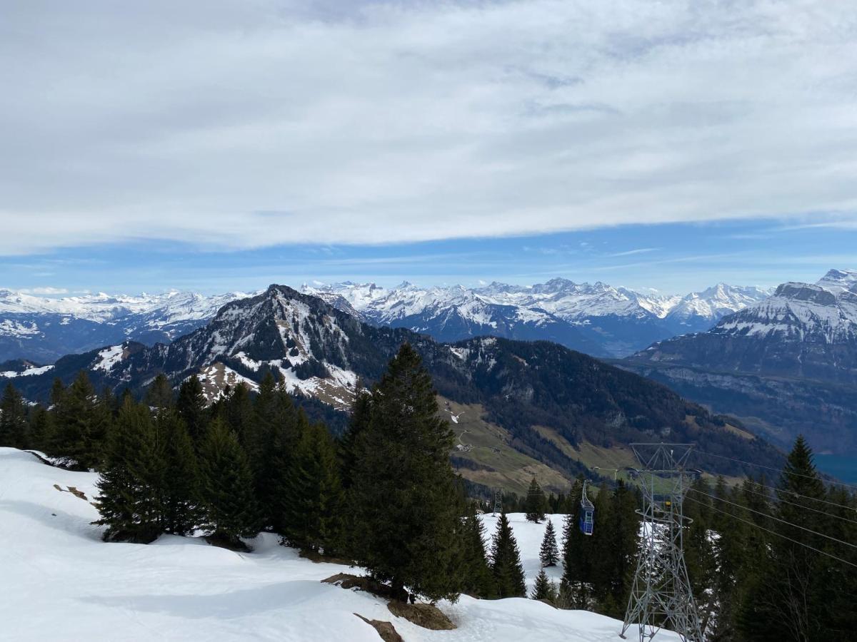 Rigi-Burggeist Alpine Guesthouse Gersau Exteriör bild