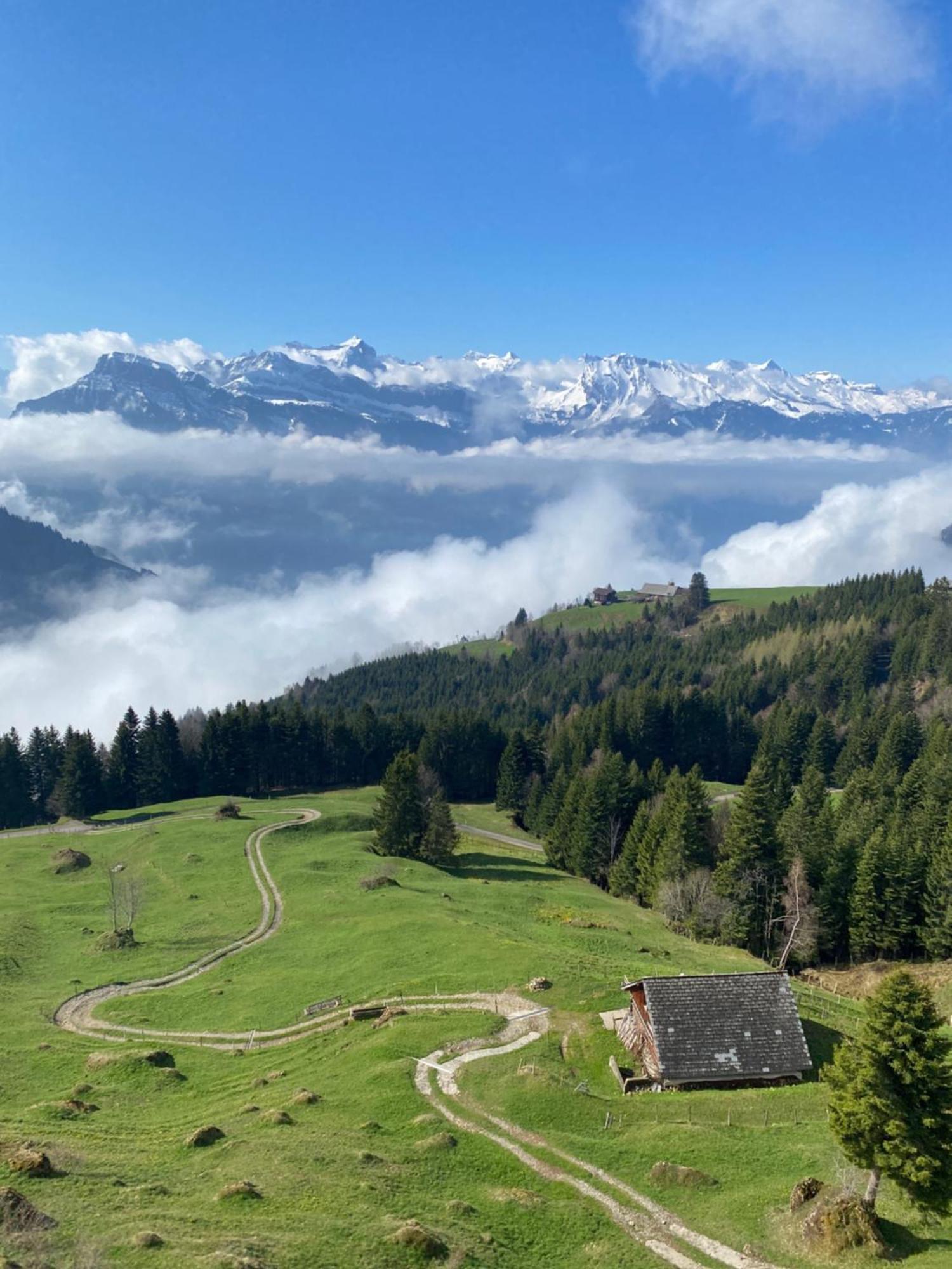 Rigi-Burggeist Alpine Guesthouse Gersau Exteriör bild